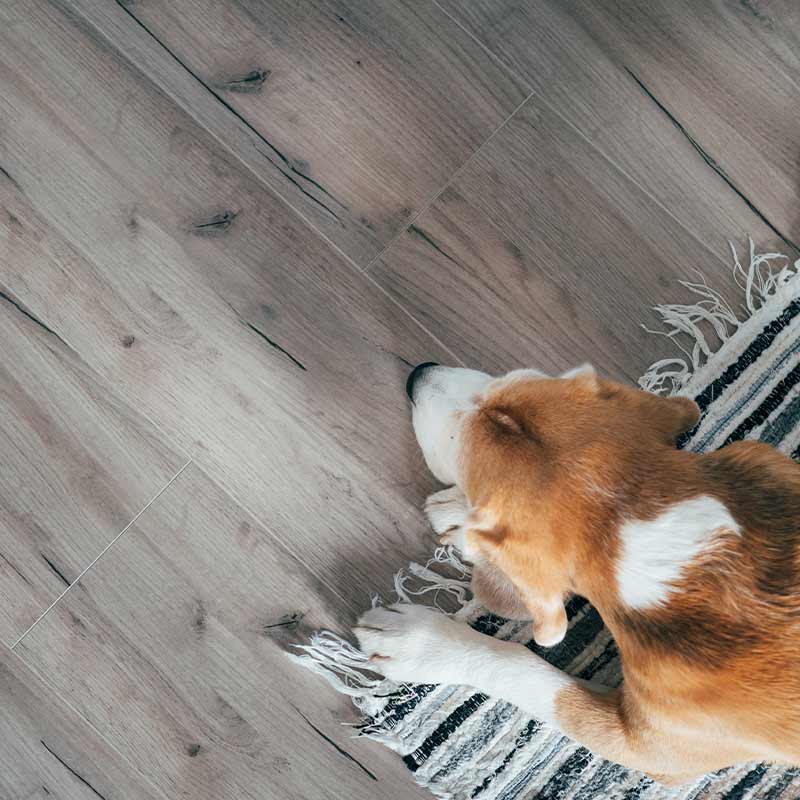 Flooring in Wabash, IN